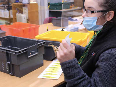 Adult working hard at paperworks